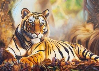 Buddha’s compassion: At the age of 4, he found fortune, transforming adversity into blessings