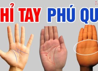 Big-hearted person with big income in the palm of the hand possesses these 3 facial features: Just 1/3 is enough for wealth and prosperity