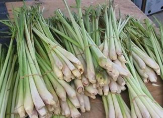 Add a few drops of vinegar into your toilet, and something amazing will happen after an hour