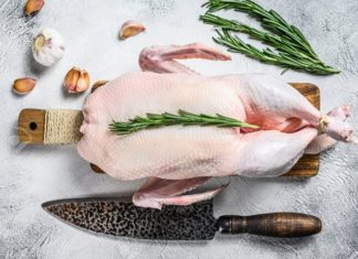 Easy Tips for Removing Duck Feathers