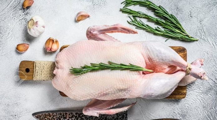 Easy Tips for Removing Duck Feathers