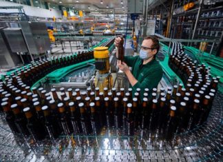 Why are beer bottles often green or brown?