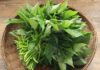 4 Green Vegetables That Are More Nutritious Than Meat, Cheaper Than Medicine, As Powerful As Ginseng, Many People Don’t Know to Buy and Eat