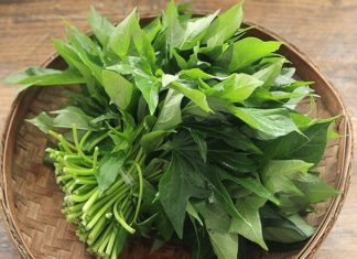 4 Green Vegetables That Are More Nutritious Than Meat, Cheaper Than Medicine, As Powerful As Ginseng, Many People Don’t Know to Buy and Eat