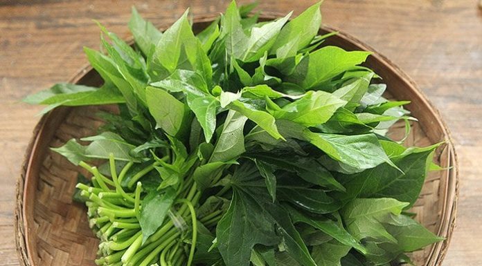 4 Green Vegetables That Are More Nutritious Than Meat, Cheaper Than Medicine, As Powerful As Ginseng, Many People Don’t Know to Buy and Eat