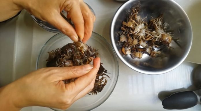 Why do sellers add salt when grinding crabs outside the market? Tips for buying crabs