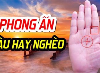 4 Signs of a Genius in the Palm of Your Hand, No More Worries About Poverty