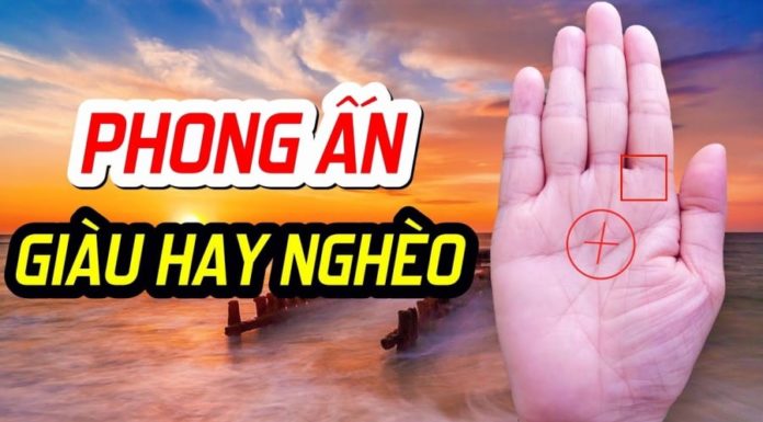 4 Signs of a Genius in the Palm of Your Hand, No More Worries About Poverty