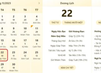 Best and Worst Times to Watch on 22/11/2023, Accurate Lunar Calendar, Lucky Activities