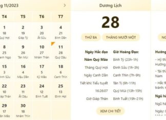 Best and Worst Times to Watch on 28/11/2023, Accurate Time Checking, Lunar Calendar, Lucky Activities
