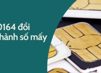 What number is 0164 changed into? Some important considerations you should not overlook when converting the number 0164