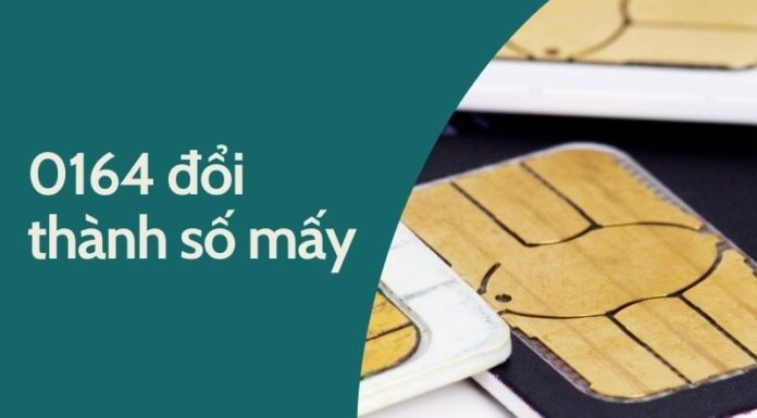 What number is 0164 changed into? Some important considerations you should not overlook when converting the number 0164