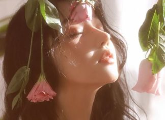 6 Types of Nourishing Essential Oils for Strong, Lustrous Hair