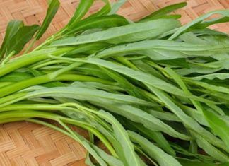 2 vegetables richer in calcium than bone broth, eat regularly to maintain a healthy weight, strong bones, and fewer illnesses