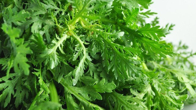 5 Must-Buy Greens: Organic and Healthy for You