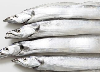 7 Types of Fish You Should Buy Immediately – Natural, Affordable, and as Nourishing as Ginseng and Bird’s Nest