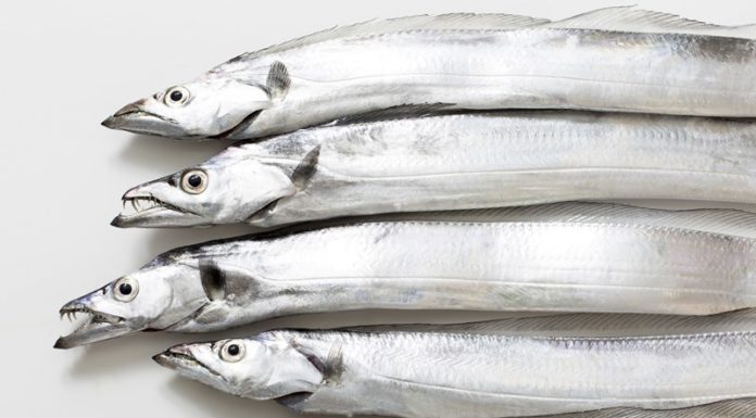 7 Types of Fish You Should Buy Immediately – Natural, Affordable, and as Nourishing as Ginseng and Bird’s Nest