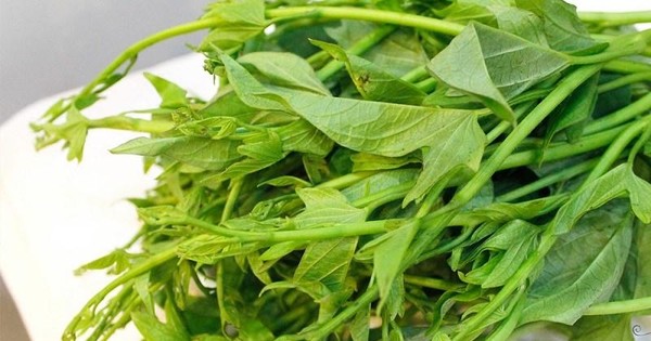 Don’t hesitate to buy these 8 types of vegetables when you go to the market: Equally nutritious as ginseng, pesticide-free.