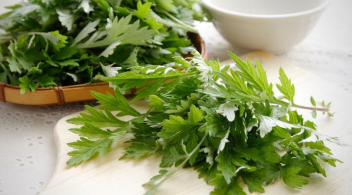 A type of vegetable that grows along the roadside, thought to be “challenging” in taste but when cooked with eggs, it becomes a delicious and nutritious dish