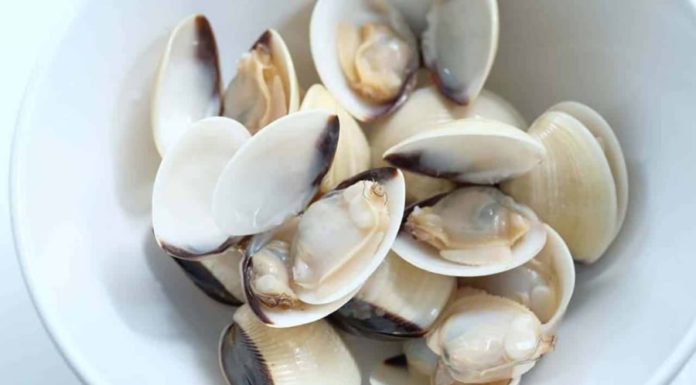 Cheap and Easy-to-Find Ingredient: A Calcium-Rich Superfood for Delicious and Refreshing Soup