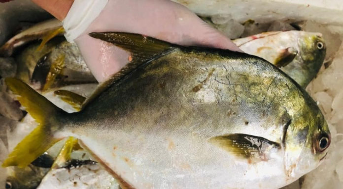 Boneless Fish with Soy Sauce: The Perfect Dish for Everyone