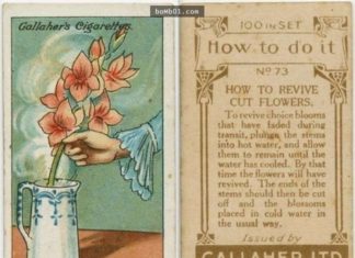 Timeless Tips from 100 Years Ago That Still Work