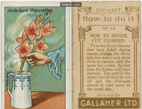 Timeless Tips from 100 Years Ago That Still Work