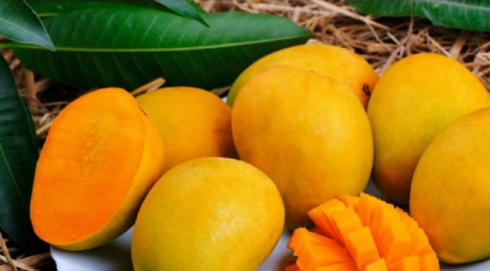 Top 7 Fruits for Toddlers