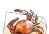 The Ultimate Guide to Eating Crab the Right Way: Fast, Easy, and Efficient