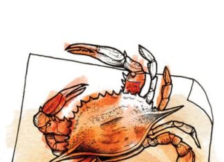 The Ultimate Guide to Eating Crab the Right Way: Fast, Easy, and Efficient