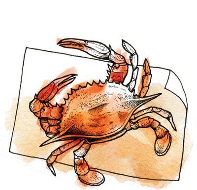 The Ultimate Guide to Eating Crab the Right Way: Fast, Easy, and Efficient