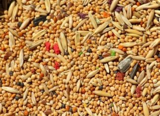 Avoid these foods immediately if you suffer from debilitating migraines