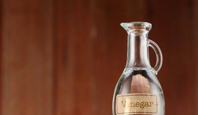 Get Rid of Unpleasant Odors in Your Refrigerator with These Common Household Items