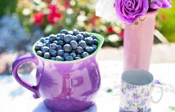 Foods to Eat Before an Exam for Boosting Study Performance