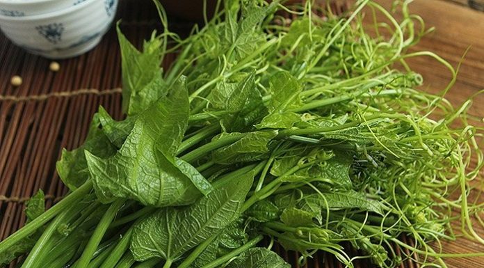 The “Meat of Vegetarians”: Discover the Delicious and Nutritious Plant-based Delicacy That Will Keep You Coming Back for More