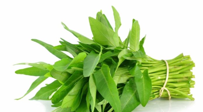 Food as the “height elixir”: 7 times more calcium than tomatoes, helps cool down