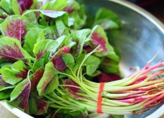 Buy “Longevity Greens” at the market for only 5,000 VND per bundle, cook it this way for double the flavor and nutrients.