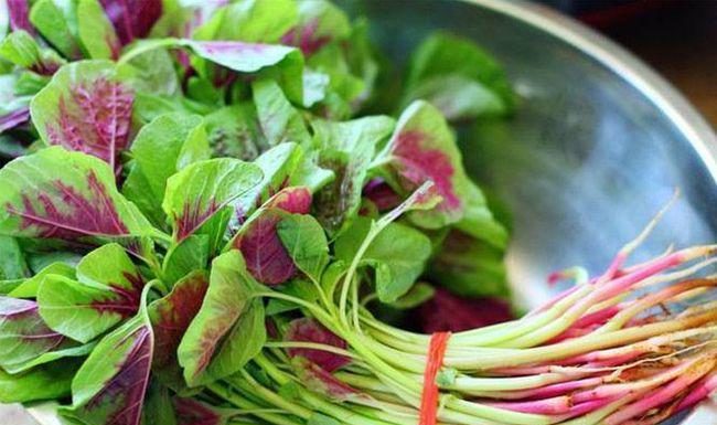 Buy “Longevity Greens” at the market for only 5,000 VND per bundle, cook it this way for double the flavor and nutrients.