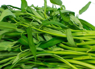 Vegetables high in calcium – Eat regularly for a beautiful and healthy body, strong bones, and fewer illnesses.