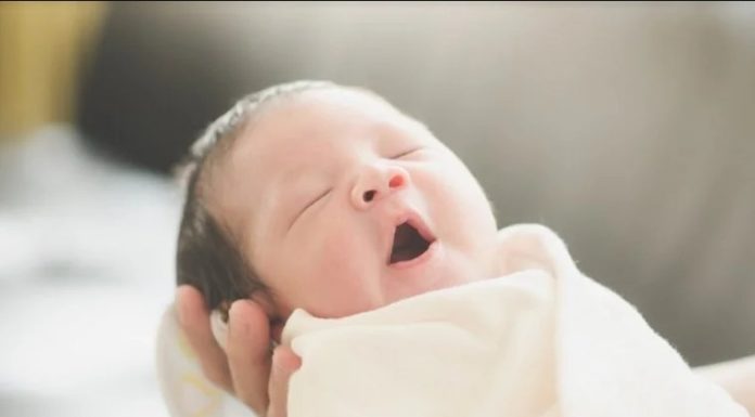 Children born between these 3 time frames: Boys or girls are independent learners, growing up with gratitude towards their parents.