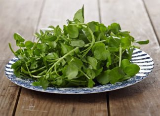 4 types of vegetables cheaper than meat, healthier than medicine: Precious as thousand-year-old ginseng, many people don’t know it’s a waste