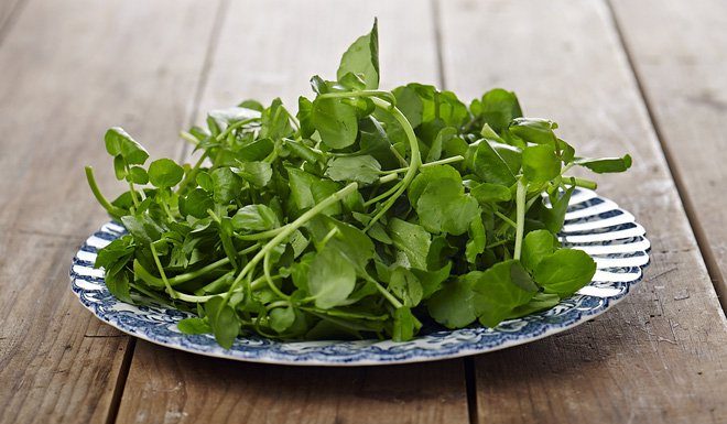 4 types of vegetables cheaper than meat, healthier than medicine: Precious as thousand-year-old ginseng, many people don’t know it’s a waste