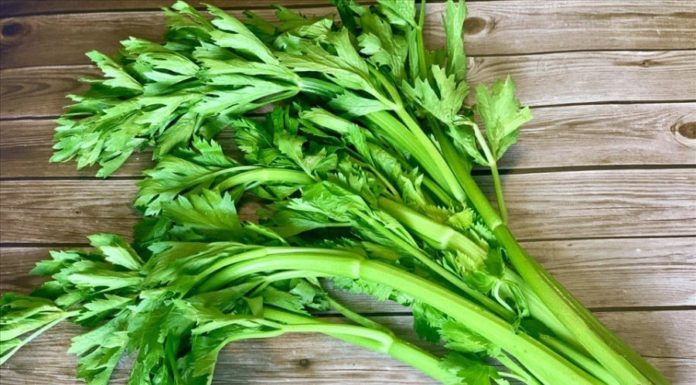 The cancer-fighting veggie that everyone throws away but can be cooked to perfection