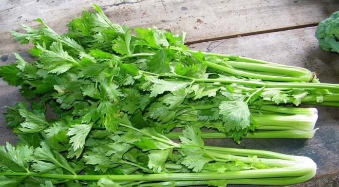 The Cancer-Fighting Vegetable Everyone Hates, but You’ll Love This Delicious and Nutritious Cooking Method