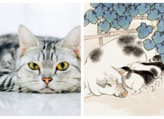 3-year-old has money pouring into the house like water in the Year of the Wood Snake 2024: 1-year-old God of Wealth favors, money comes even without effort.