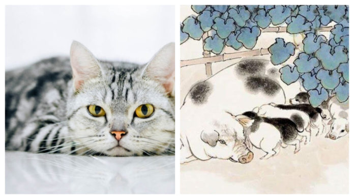 3-year-old has money pouring into the house like water in the Year of the Wood Snake 2024: 1-year-old God of Wealth favors, money comes even without effort.