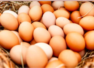 6 Superfoods to Boost Your Child’s Intelligence