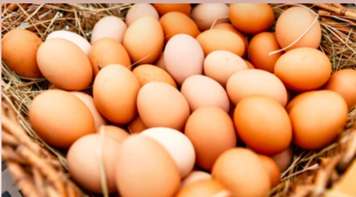 6 Superfoods to Boost Your Child’s Intelligence