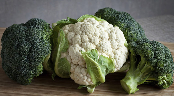 4 Types of Vegetables with 10 times more Calcium than Milk, Eating More Helps Children Grow Tall better