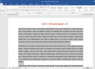 4 Simple Steps to Highlight Text Entirely with “Ultimate” Keyboard Shortcuts.